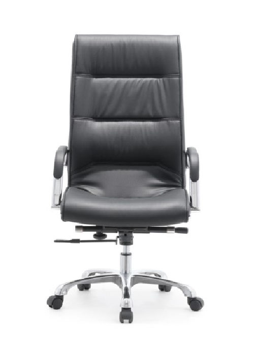 Ƥ����CH-113A