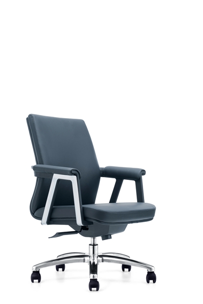 Ƥ����CH-251B