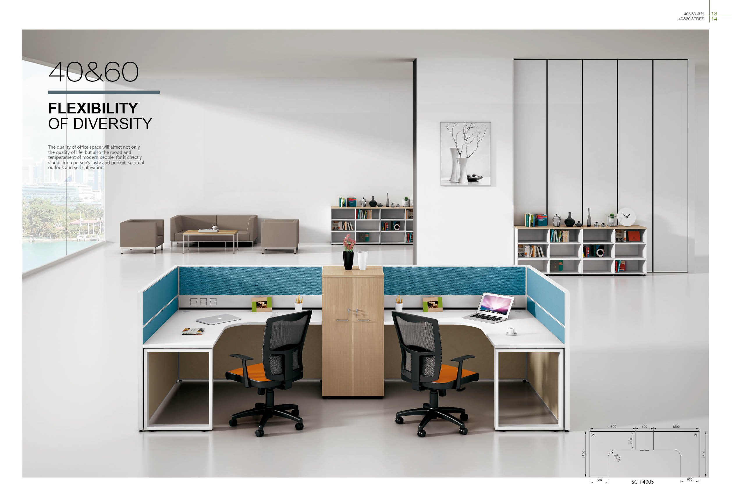 �V���k���ҾߏS